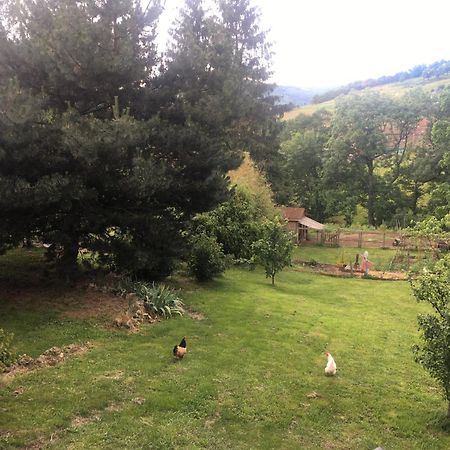 Gites De Gobertier Saint-Alban-d'Ay Exteriör bild
