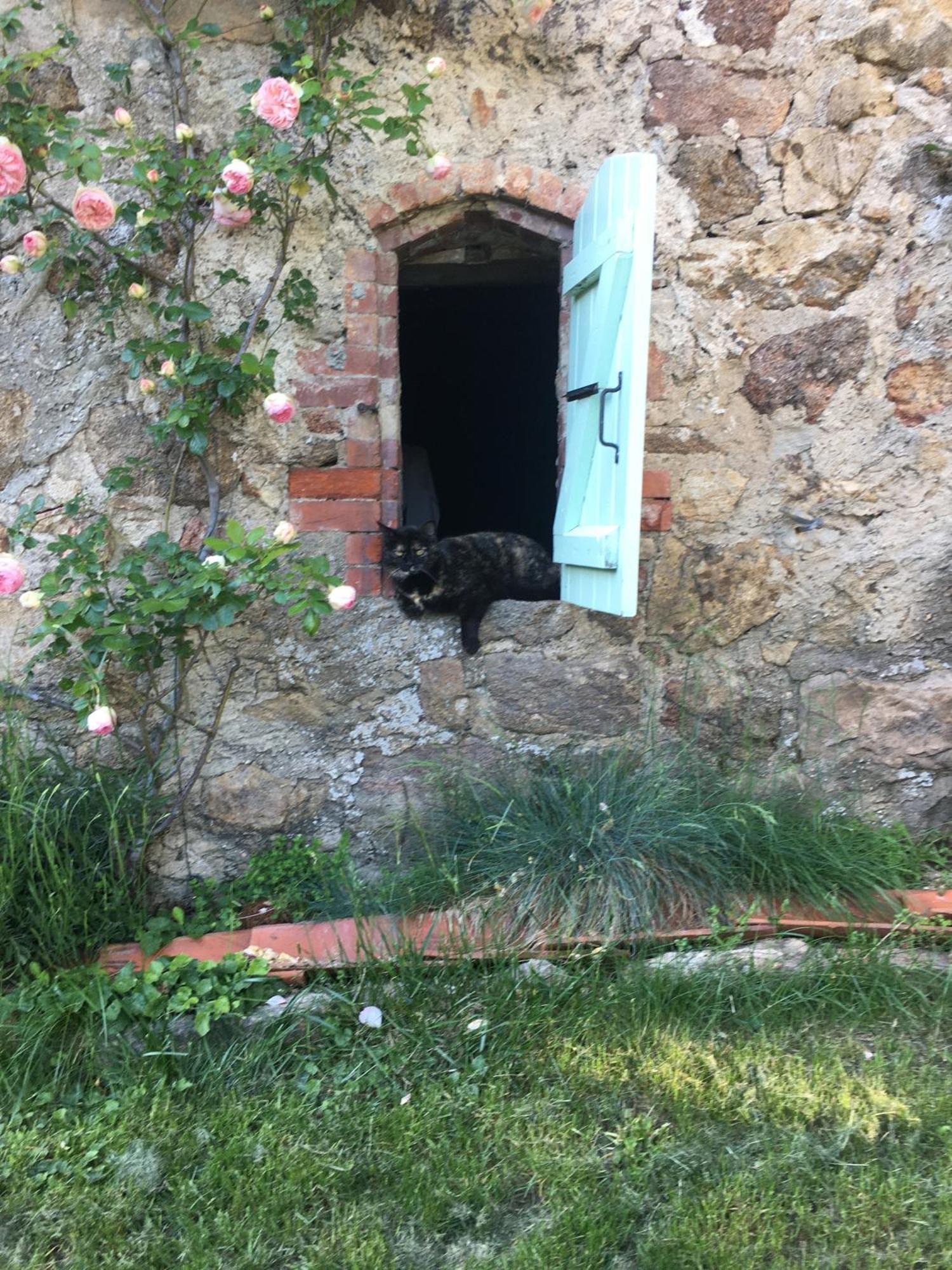 Gites De Gobertier Saint-Alban-d'Ay Exteriör bild